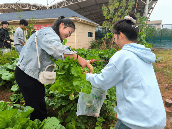 马克思主义学院开展劳动实践团建活动：​  为思想注入“劳动基因”